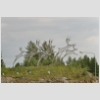 26-28 Rovaniemi.jpg